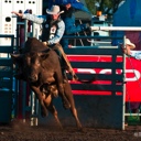 Bull riding