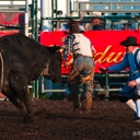 Bravery - Rodeo clowns are there to keep the bull from killing the rider.