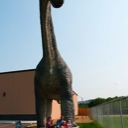 Big dinosaur