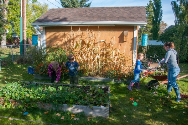 Gardening