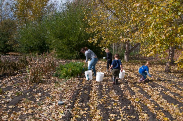 Gardening