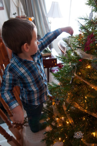 Our Christmas Tree helpers