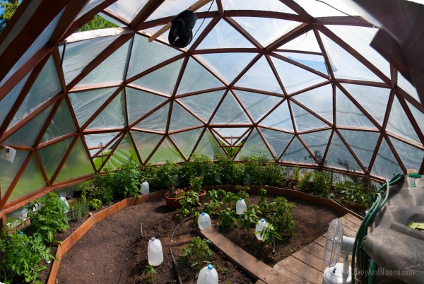 Our greenhouse