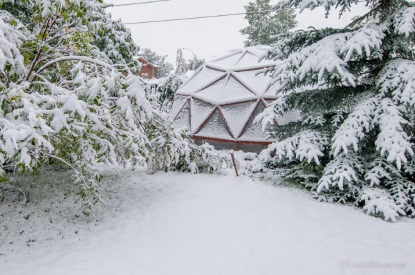 Snowy September Greenhouse.